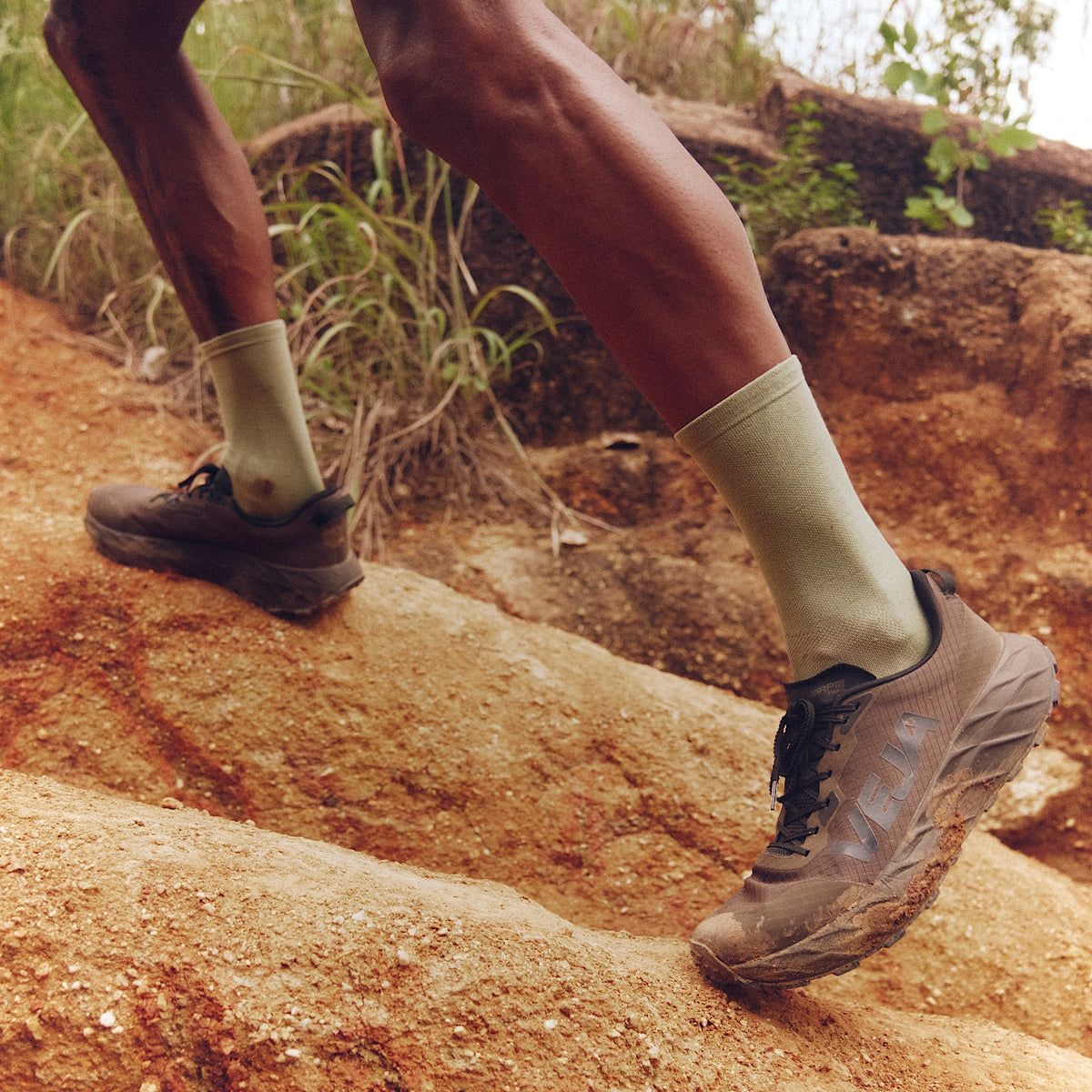 HARPIE TRAIL AEROSHELL EAGLE BLACK — 6