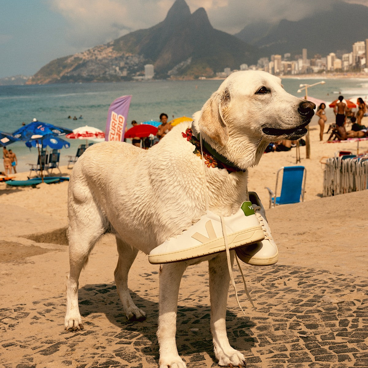 URCA CWL WHITE PIERRE KIWI — 5